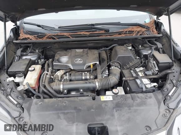 ✅ 2018 Lexus NX 300 • VIN: JTJYARBZ0J2097073 • Лот: 43312414. Опубликован ранее на IAAI с пробегом 108 728 миль. Бесплатный доступ к архиву аукционных продаж из США и подробный отчёт об истории автомобиля на DreamBid. Изображение 10.