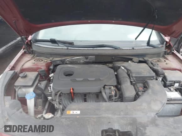 ✅ 2016 Hyundai Sonata SE • VIN: 5NPE24AF5GH260384 • Лот: 43877319. Опубликован ранее на IAAI с пробегом 65 429 миль. Бесплатный доступ к архиву аукционных продаж из США и подробный отчёт об истории автомобиля на DreamBid. Изображение 10.