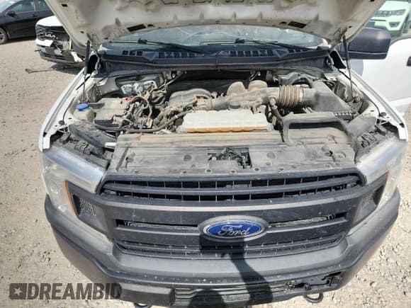 ✅ 2019 Ford F-150 XL • VIN: 1FTEX1EB1KKC53675 • Lot: 84524195. Wystawiony na Copart z przebiegiem 228 658 mil. Bezpłatny archiwum sprzedaży aukcyjnych z USA i szczegółowy raport historii pojazdu na DreamBid. Zdjęcie 11.