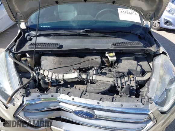 ✅ 2017 Ford Escape SE • VIN: 1FMCU0G91HUE92494 • Лот: 43426873. Опубликован ранее на IAAI с пробегом 114 271 миль. Бесплатный доступ к архиву аукционных продаж из США и подробный отчёт об истории автомобиля на DreamBid. Изображение 10.