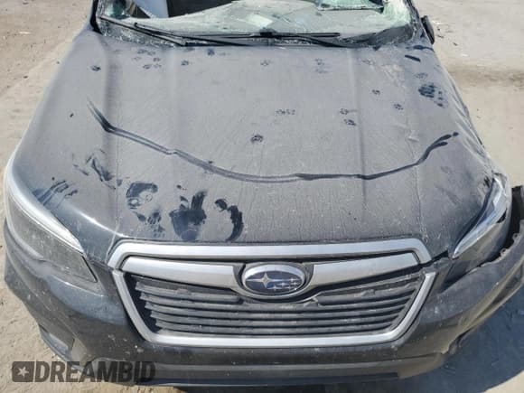 ✅ 2021 Subaru Forester Premium • VIN: JF2SKAFC4MH491062 • Lot: 82243185. Listed on Copart with Not provided. Free auction sales archive from the USA and detailed vehicle history report at DreamBid. Image 12.