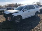 ✅ 2024 Hyundai Palisade SEL • VIN: KM8R24GE0RU804827 • Лот: 81158374. Опубликован ранее на Copart с пробегом 9 011 миль. Бесплатный доступ к архиву аукционных продаж из США и подробный отчёт об истории автомобиля на DreamBid. Изображение 1.