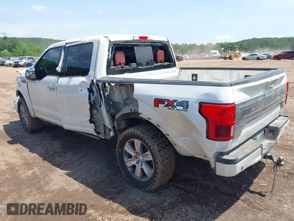 ✅ 2018 Ford F-150 XL • VIN: 1FTEW1EG9JFD28161 • Lot: 42254754. Listed on IAAI with 122,769 mi. Free auction sales archive from the USA and detailed vehicle history report at DreamBid. Image 3.