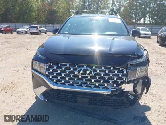 2021 Hyundai Santa Fe SEL with VIN 5NMS2DAJ9MH325043, listed as a IAAI auction lot 43416390 with 60,379 mi miles and . Bid and sale history available at DreamBid. Image 12.