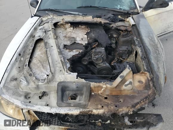 ✅ 2000 Ford Mustang • VIN: 1FAFP4044YF199925 • Лот: 92713035. Опубликован ранее на Copart с пробегом Не указан. Бесплатный доступ к архиву аукционных продаж из США и подробный отчёт об истории автомобиля на DreamBid. Изображение 11.