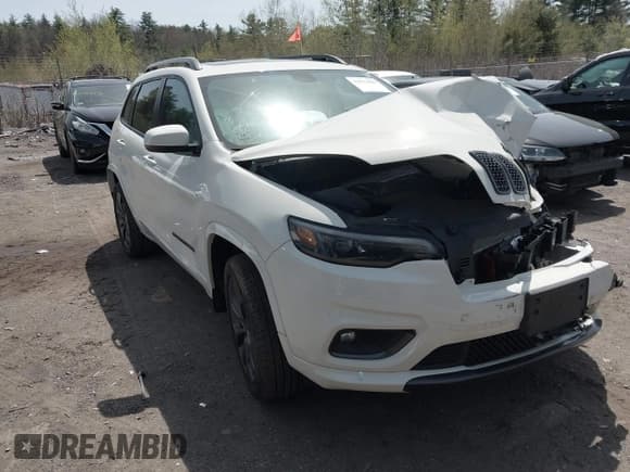 ✅ 2019 Jeep Cherokee Limited • VIN: 1C4PJMDX5KD451379 • Lot: 42073009. Listed on IAAI with Not provided. Free auction sales archive from the USA and detailed vehicle history report at DreamBid. Image 12.