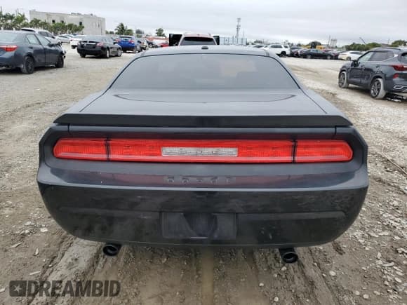 ✅ 2010 Dodge Challenger SE • VIN: 2B3CJ4DV1AH322426 • Lot: 42177185. Wystawiony na Copart z przebiegiem 121 337 mil. Bezpłatny archiwum sprzedaży aukcyjnych z USA i szczegółowy raport historii pojazdu na DreamBid. Zdjęcie 6.