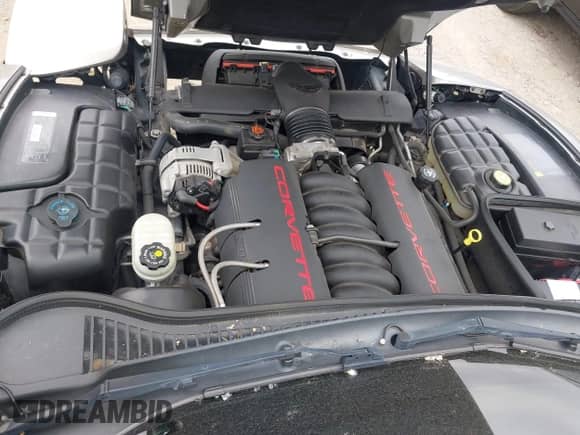 ✅ 1998 Chevrolet Corvette • VIN: 1G1YY22G6W5130385 • Lot: 42345580. Wystawiony na IAAI z przebiegiem 58 575 mil. Bezpłatny archiwum sprzedaży aukcyjnych z USA i szczegółowy raport historii pojazdu na DreamBid. Zdjęcie 10.