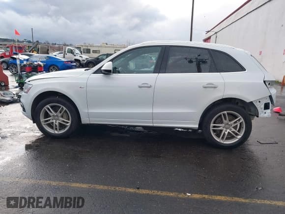✅ 2015 Audi Q5 Premium Plus • VIN: WA1DGAFP9FA117516 • Lot: 41482588. Listed on IAAI with 113,324 mi. Free auction sales archive from the USA and detailed vehicle history report at DreamBid. Image 15.