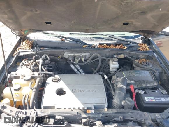 ✅ 2009 Ford Escape Hybrid • VIN: 1FMCU49349KC03640 • Lot: 42853646. Wystawiony na IAAI z przebiegiem 263 713 mil. Bezpłatny archiwum sprzedaży aukcyjnych z USA i szczegółowy raport historii pojazdu na DreamBid. Zdjęcie 10.