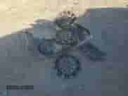 2014 Toyota Camry L with VIN 4T4BF1FK9ER378566, listed as a Copart auction lot 91291645 with 188,341 mi miles and Salvage title. Bid and sale history available at DreamBid. Image 12.