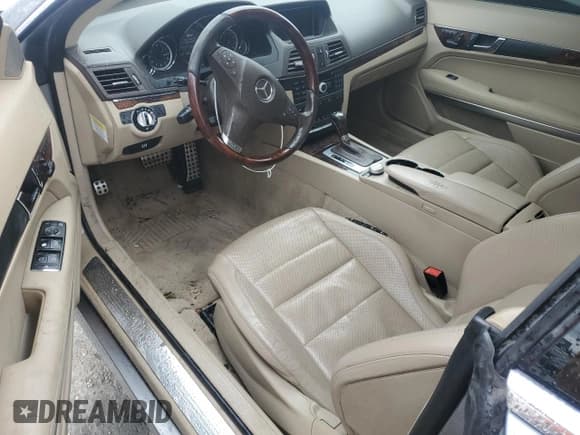 ✅ 2010 Mercedes-Benz E 550 • VIN: WDDKJ7CB5AF046696 • Lot: 49076015. Listed on Copart with Not provided. Free auction sales archive from the USA and detailed vehicle history report at DreamBid. Image 8.