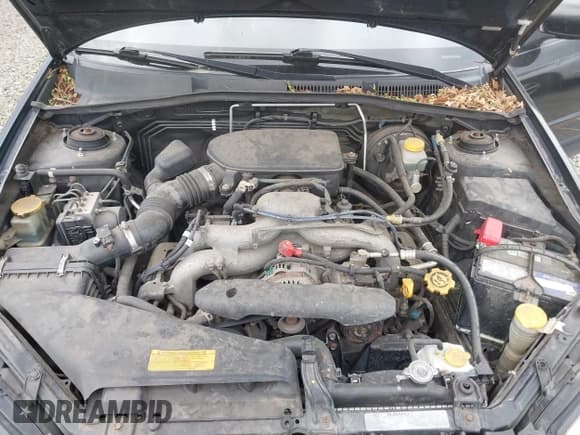 ✅ 2009 Subaru Outback • VIN: 4S4BP60C897330065 • Lot: 42478135. Listed on IAAI with 213,980 mi. Free auction sales archive from the USA and detailed vehicle history report at DreamBid. Image 10.