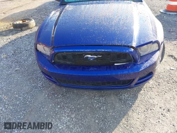 ✅ 2013 Ford Mustang V6 • VIN: 1ZVBP8AMXD5250677 • Lot: 43347063. Wystawiony na IAAI z przebiegiem 173 207 mil. Bezpłatny archiwum sprzedaży aukcyjnych z USA i szczegółowy raport historii pojazdu na DreamBid. Zdjęcie 6.
