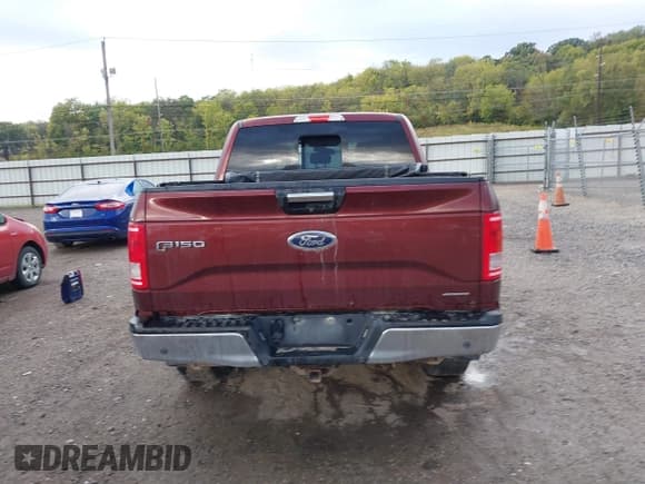 ✅ 2016 Ford F-150 XLT • VIN: 1FTEW1EFXGKF77365 • Lot: 43426032. Listed on IAAI with 125,601 mi. Free auction sales archive from the USA and detailed vehicle history report at DreamBid. Image 17.