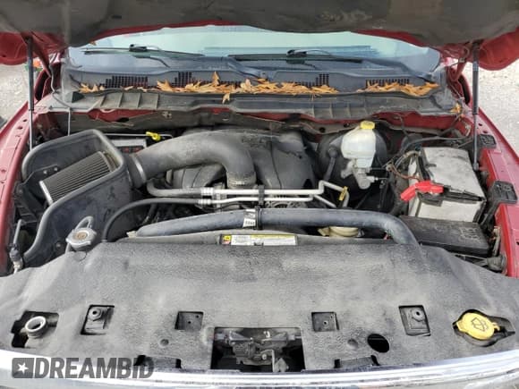 ✅ 2010 Dodge 1500 SLT • VIN: 1D7RB1CT1AS196555 • Lot: 47580305. Wystawiony na Copart z przebiegiem 201 771 mil. Bezpłatny archiwum sprzedaży aukcyjnych z USA i szczegółowy raport historii pojazdu na DreamBid. Zdjęcie 11.