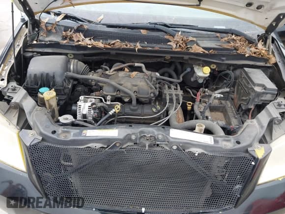 ✅ 2010 Dodge Grand Caravan SE • VIN: 2D4RN4DE6AR247233 • Lot: 43771391. Listed on IAAI with 292,108 mi. Free auction sales archive from the USA and detailed vehicle history report at DreamBid. Image 10.