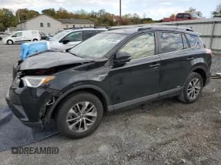 ✅ 2017 Toyota RAV4 XLE • VIN: JTMRJREV4HD110132 • Lot: 82615065. Listed on Copart with Not provided. Free auction sales archive from the USA and detailed vehicle history report at DreamBid. Image 1.