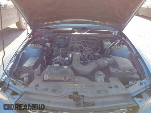 ✅ 2008 Ford Mustang Deluxe • VIN: 1ZVHT80N685105688 • Lot: 43061465. Wystawiony na IAAI z przebiegiem 84 730 mil. Bezpłatny archiwum sprzedaży aukcyjnych z USA i szczegółowy raport historii pojazdu na DreamBid. Zdjęcie 10.