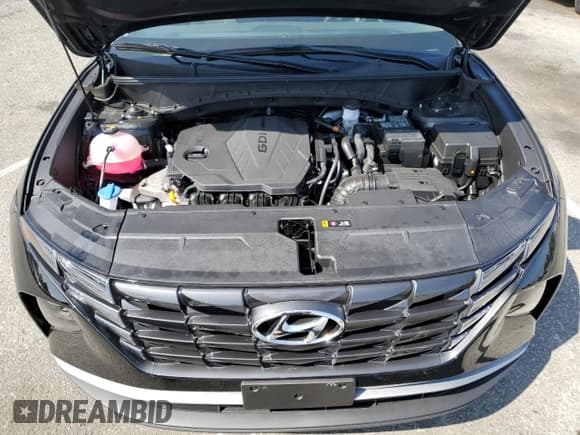 ✅ 2024 Hyundai Tucson SEL • VIN: 5NMJB3DE1RH421129 • Lot: 69326004. Wystawiony na Copart z przebiegiem 2 018 mil. Bezpłatny archiwum sprzedaży aukcyjnych z USA i szczegółowy raport historii pojazdu na DreamBid. Zdjęcie 12.