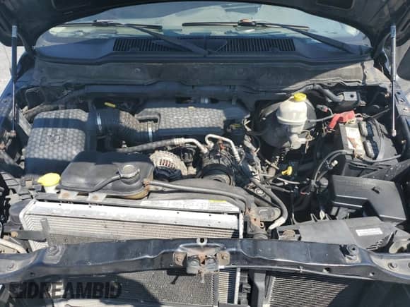 2003 Dodge 1500 ST z VIN 1D7HU18D23S244655, wystawiony jako Copart lot #67937694 z przebiegiem 167 334 mil mil oraz Szkoda całkowita • Salvage title. Historia ofert i sprzedaży dostępna na DreamBid. Obrazek 11.