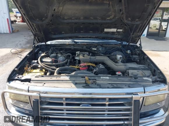 ✅ 1995 Ford F-250 • VIN: 1FTHX26G2SKA62893 • Лот: 42379913. Опубликован ранее на IAAI с пробегом 154 106 миль. Бесплатный доступ к архиву аукционных продаж из США и подробный отчёт об истории автомобиля на DreamBid. Изображение 10.