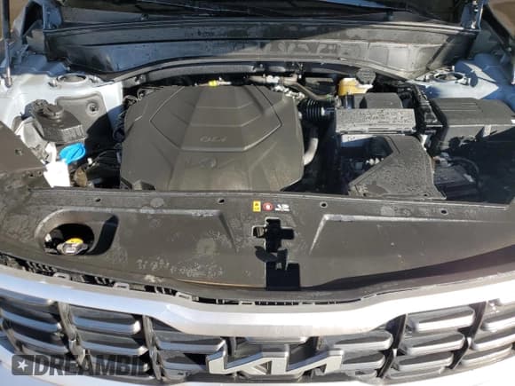 ✅ 2025 Kia Telluride S • VIN: 5XYP6DGC5SG586826 • Lot: 89677615. Wystawiony na Copart z przebiegiem 15 460 mil. Bezpłatny archiwum sprzedaży aukcyjnych z USA i szczegółowy raport historii pojazdu na DreamBid. Zdjęcie 12.