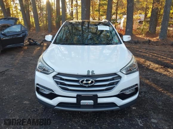 ✅ 2017 Hyundai Santa Fe Ultimate • VIN: 5XYZW4LA3HG425669 • Lot: 43610742. Listed on IAAI with 106,617 mi. Free auction sales archive from the USA and detailed vehicle history report at DreamBid. Image 12.