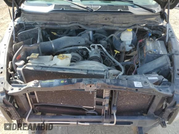 ✅ 2006 Dodge 1500 SLT • VIN: 3D7KS19D96G253732 • Lot: 72061325. Wystawiony na Copart z przebiegiem 199 022 mil. Bezpłatny archiwum sprzedaży aukcyjnych z USA i szczegółowy raport historii pojazdu na DreamBid. Zdjęcie 11.