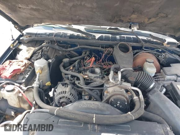 ✅ 1999 Chevrolet Blazer LS • VIN: 1GNCS13W1X2120019 • Lot: 41766379. Wystawiony na IAAI z przebiegiem Nie podano. Bezpłatny archiwum sprzedaży aukcyjnych z USA i szczegółowy raport historii pojazdu na DreamBid. Zdjęcie 10.