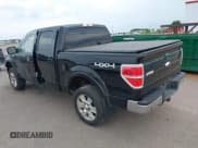 ✅ 2009 Ford F-150 XL • VIN: 1FTPW14V89FA39177 • Lot: 43050528. Listed on IAAI with 244,162 mi. Free auction sales archive from the USA and detailed vehicle history report at DreamBid. Image 3.