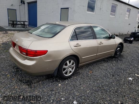 ✅ 2005 Honda Accord EX-L • VIN: 1HGCM66515A024558 • Лот: 87410745. Опубликован ранее на Copart с пробегом 221 736 миль. Бесплатный доступ к архиву аукционных продаж из США и подробный отчёт об истории автомобиля на DreamBid. Изображение 3.