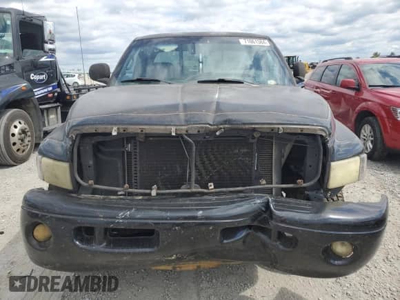 1999 Dodge 1500 z VIN 3B7HF13Z3XG156105, wystawiony jako Copart lot #71061384 z przebiegiem 267 990 mil mil oraz Szkoda całkowita • Salvage title. Historia ofert i sprzedaży dostępna na DreamBid. Obrazek 5.