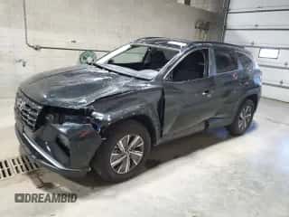 2024 Hyundai Tucson Blue z VIN KM8JBCD14RU209861, wystawiony jako Copart lot #81778195 z przebiegiem 8 091 mil mil oraz Szkoda całkowita • Salvage title. Historia ofert i sprzedaży dostępna na DreamBid. Obrazek 1.