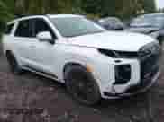 ✅ 2025 Hyundai Palisade Calligraphy • VIN: KM8R7DGE3SU883997 • Lot: 43279566. Listed on IAAI with 4,367 mi. Free auction sales archive from the USA and detailed vehicle history report at DreamBid. Image 1.