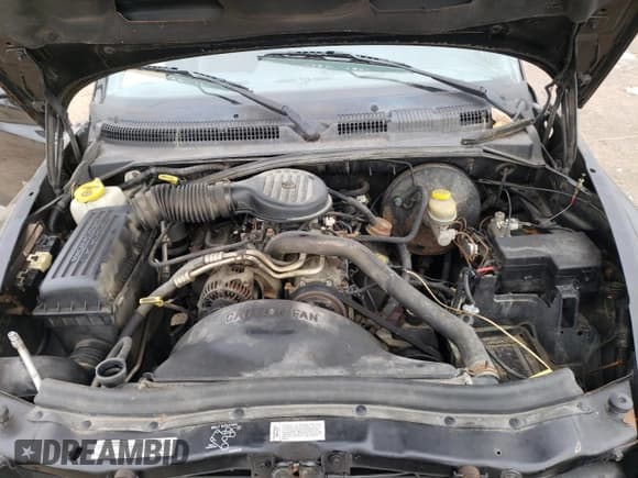 ✅ 1997 Dodge Dakota • VIN: 1B7GL23X5VS208252 • Lot: 82584134. Wystawiony na Copart z przebiegiem 152 633 mil. Bezpłatny archiwum sprzedaży aukcyjnych z USA i szczegółowy raport historii pojazdu na DreamBid. Zdjęcie 11.