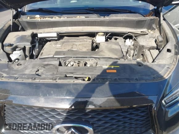 ✅ 2020 Infiniti QX60 Pure • VIN: 5N1DL0MN5LC525763 • Lot: 41259100. Listed on IAAI with 38,995 mi. Free auction sales archive from the USA and detailed vehicle history report at DreamBid. Image 10.