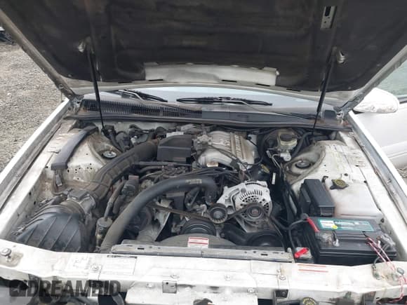 ✅ 1996 Ford Thunderbird LX • VIN: 1FALP6246TH160357 • Лот: 41442234. Опубликован ранее на IAAI с пробегом 99 815 миль. Бесплатный доступ к архиву аукционных продаж из США и подробный отчёт об истории автомобиля на DreamBid. Изображение 10.