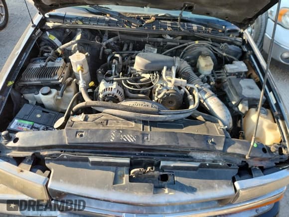 ✅ 2000 Chevrolet S-10 LS • VIN: 1GCCS19W3Y8273113 • Lot: 85884585. Listed on Copart with 208,986 mi. Free auction sales archive from the USA and detailed vehicle history report at DreamBid. Image 11.