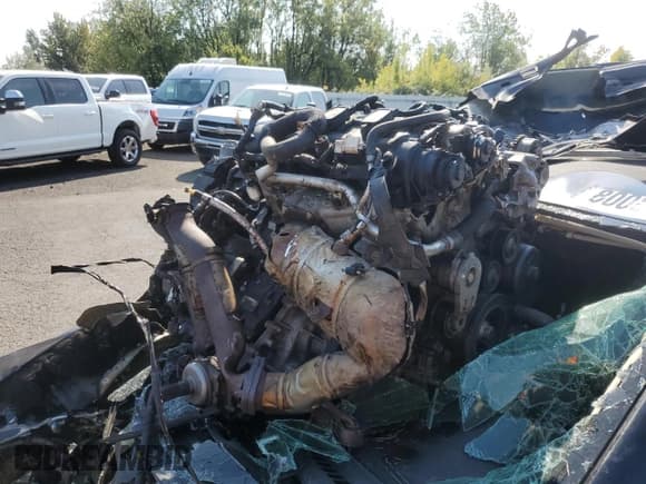 ✅ 2014 Jeep Cherokee Latitude • VIN: 1C4PJMCS5EW208024 • Lot: 80086395. Wystawiony na Copart z przebiegiem Nie podano. Bezpłatny archiwum sprzedaży aukcyjnych z USA i szczegółowy raport historii pojazdu na DreamBid. Zdjęcie 12.