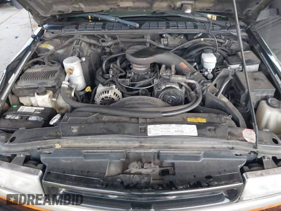 1999 Chevrolet Blazer LS z VIN 1GNCT18W3XK216840, wystawiony jako IAAI lot #41534524 z przebiegiem 199 982 mil mil oraz . Historia ofert i sprzedaży dostępna na DreamBid. Obrazek 10.