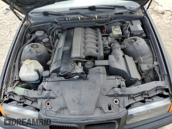 1998 BMW 3 Series 328i with VIN WBACD4329WAV60069, listed as a Copart auction lot 57724115 with 113,414 mi miles and Clean title. Bid and sale history available at DreamBid. Image 11.