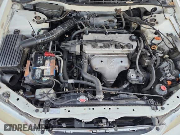 ✅ 1998 Honda Accord LX • VIN: 1HGCG5642WA123237 • Lot: 90726835. Listed on Copart with 203,394 mi. Free auction sales archive from the USA and detailed vehicle history report at DreamBid. Image 11.