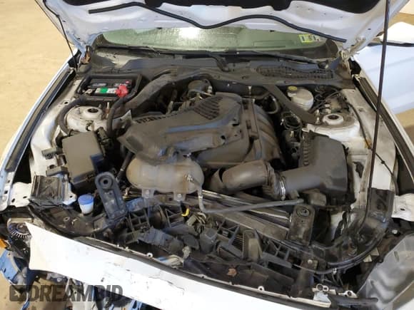 ✅ 2020 Ford Mustang EcoBoost Premium • VIN: 1FATP8UH1L5114562 • Lot: 90900365. Listed on Copart with 69,072 mi. Free auction sales archive from the USA and detailed vehicle history report at DreamBid. Image 11.