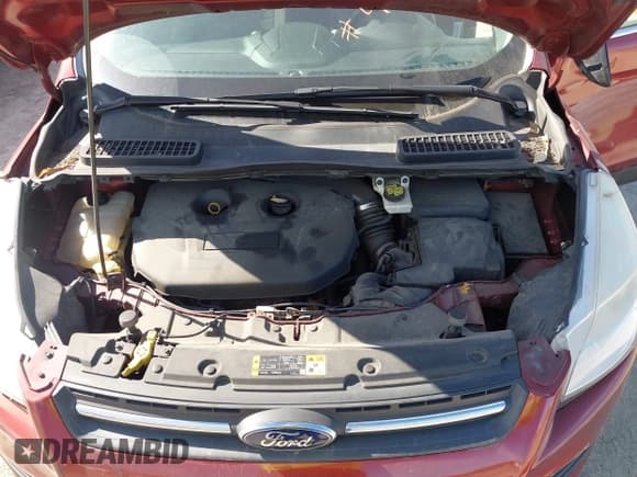 ✅ 2015 Ford Escape SE • VIN: 1FMCU9G92FUA75614 • Lot: 43439058. Wystawiony na IAAI z przebiegiem 145 350 mil. Bezpłatny archiwum sprzedaży aukcyjnych z USA i szczegółowy raport historii pojazdu na DreamBid. Zdjęcie 10.