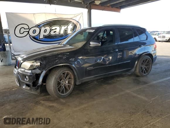 ✅ 2009 BMW X5 30i • VIN: 5UXFE43549L270577 • Лот: 81841215. Опубликован ранее на Copart с пробегом 180 769 миль. Бесплатный доступ к архиву аукционных продаж из США и подробный отчёт об истории автомобиля на DreamBid. Изображение 1.