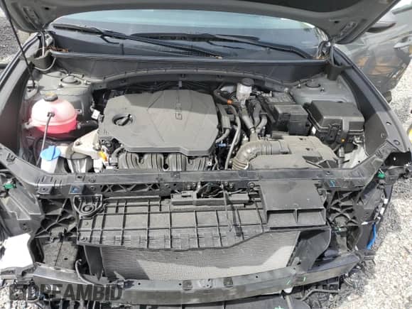 2024 Hyundai Tucson SEL with VIN 5NMJF3DE1RH311248, listed as a Copart auction lot 81043225 with 10,830 mi miles and Salvage title. Bid and sale history available at DreamBid. Image 12.