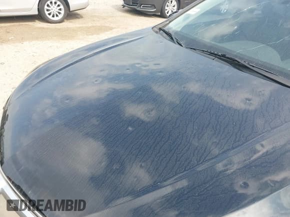 ✅ 2016 Acura TLX • VIN: 19UUB1F39GA004962 • Lot: 42257607. Wystawiony na IAAI z przebiegiem 87 235 mil. Bezpłatny archiwum sprzedaży aukcyjnych z USA i szczegółowy raport historii pojazdu na DreamBid. Zdjęcie 17.