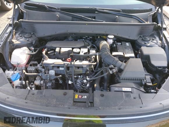 ✅ 2024 Hyundai Kona Limited • VIN: KM8HECA31RU052883 • Lot: 42775977. Listed on IAAI with 16,431 mi. Free auction sales archive from the USA and detailed vehicle history report at DreamBid. Image 10.