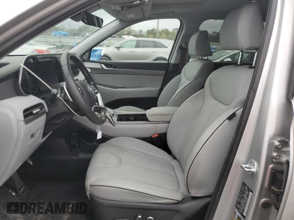 ✅ 2024 Hyundai Palisade SEL • VIN: KM8R44GEXRU698574 • Lot: 89899055. Wystawiony na Copart z przebiegiem 24 625 mil. Bezpłatny archiwum sprzedaży aukcyjnych z USA i szczegółowy raport historii pojazdu na DreamBid. Zdjęcie 7.